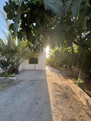 a dirt road with trees and a white building at Featured House Furnished Independent for Rent in Ajloun