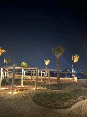 a group of palm trees on the beach at night at Ayla Beach Apartment Azure 1522 Families only in Aqaba