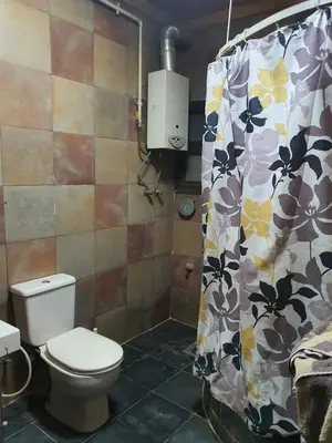 a bathroom with a toilet and a shower curtain at الجبل الاخضر هاوس in Al ‘Ālūk