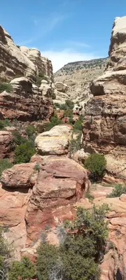 a view of a canyon with rocks and trees at Camping in Dana in At-Tafilah