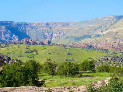 a view of a valley with mountains in the background at Camping in Dana in At-Tafilah