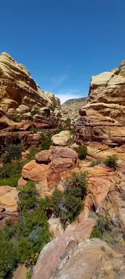 a view of a canyon with rocks and trees at Camping in Dana in At-Tafilah
