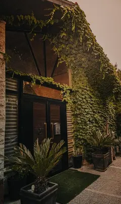 a building with ivy growing on the side of it at Al Bader Resort in Jurf ad Darāwīsh
