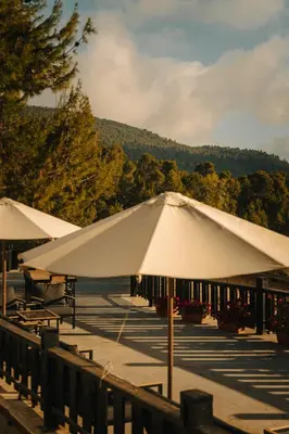 a group of white umbrellas in a parking lot at Al Bader Resort in Jurf ad Darāwīsh