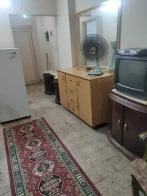 a living room with a tv and a rug at هيوم شليت in Um Qeis