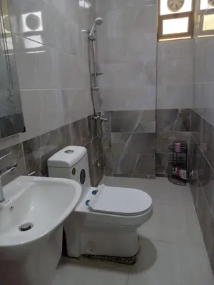 a bathroom with a toilet and a sink and a shower at Sky 2 in Jerash