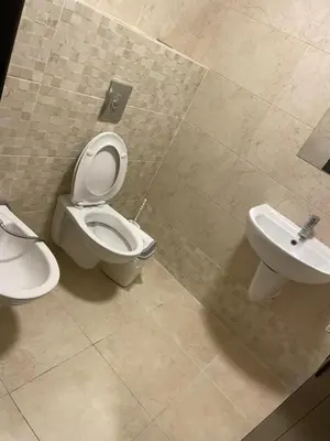 a bathroom with a toilet and a sink at Abdoun is comfortable accommodation and an exceptional location close to the mall in Amman