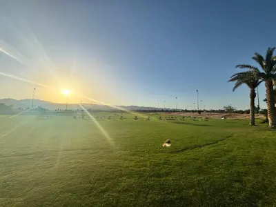 a group of animals grazing in a field with the sun at Ayla Aqaba Azure 2 bedroom in Aqaba