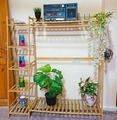 a shelf with potted plants and a radio at Petra Triclinium Home in Wadi Musa