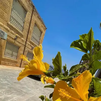 a group of yellow flowers in front of a building at Al Eman Oasis Farm in Jal‘ad
