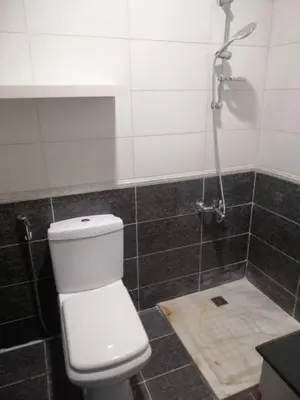a bathroom with a shower with a toilet and a sink at Humble house in Amman