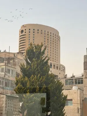 a tree in front of a tall building with airplanes at Modern Apartment in Prime Location - Jabal Amman in Amman