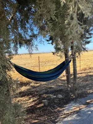 a hammock hanging between two trees in a field at Beit Philodemus 2 in Um Qeis