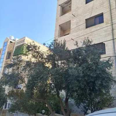 a tall building with a tree in front of it at Bourbaki house