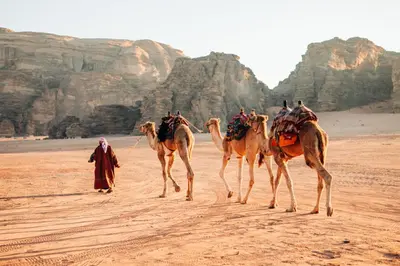 a man with three camels walking in the desert at Luxury diamond camp in Wadi Rum