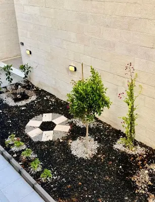a garden with three plants in front of a building at Beit Ahlan Suites 8 in Amman