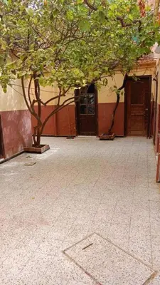 a courtyard with two trees and a building at 10 seasoun House in Dawqarah