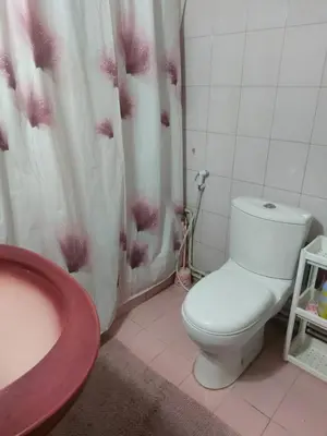 a bathroom with a toilet and a sink and a shower curtain at Room in central Amman in Amman