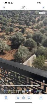a view of a bridge with trees and bushes at مزرعة وفيلا غابة الارز in Jerash