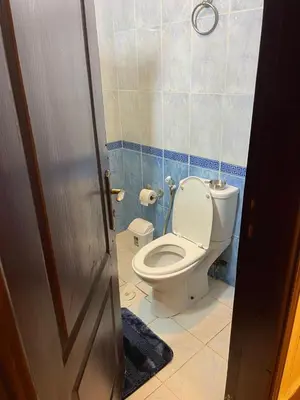 a bathroom with a white toilet in a room at Furnished one bedroom apartment in Amman