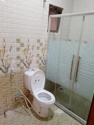 a bathroom with a toilet and a shower at Tea apartment in Aqaba