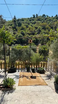 a basketball hoop in a yard with trees at شقة مفروشة في عجلون in Ajloun