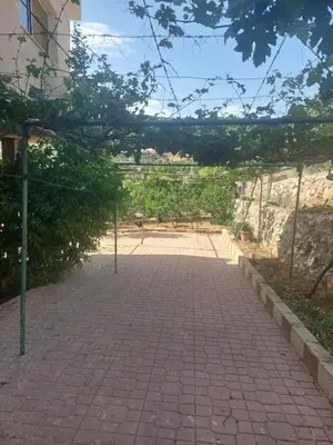 a brick walkway with a tree branch hanging over it at عجلون in Ajloun