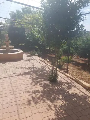 a shadow of a tree and a fountain on a sidewalk at عجلون in Ajloun