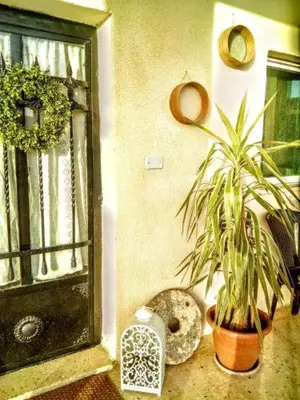 a plant in a pot next to a window at B&B petrafarmhouse in Wadi Musa