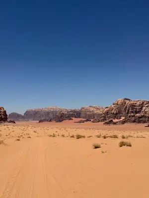 a dirt road in the desert with mountains in the background at cave under the stars in Wadi Rum