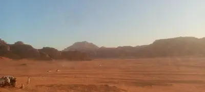 a field with animals in the middle of a desert at مخيم علاء in Wadi Rum