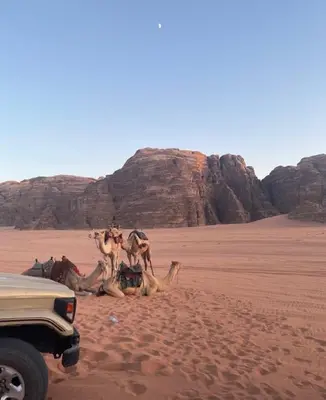 a group of camels in the desert next to a truck at Nayef camp wadi Rum in Wadi Rum