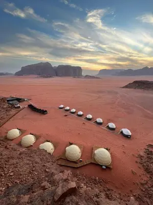 a group of sheep laying in the desert at Super Delxue Tent in Azraq ash Shīshān