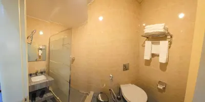 a bathroom with a shower and a toilet and a sink at The charming view in Wadi Musa
