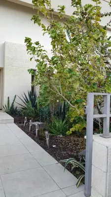 a garden with a tree and a bench next to a building at Al-Raha Luxury apartment in Aqaba