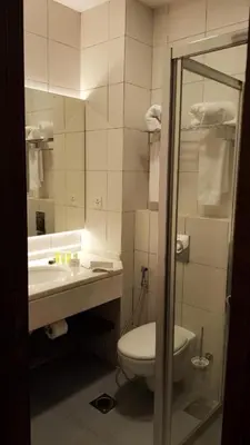 a bathroom with a toilet and a sink and a mirror at Petra Breeze in Wadi Musa