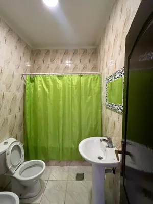 a bathroom with a green shower curtain and a toilet at شقه مفروشه in Amman