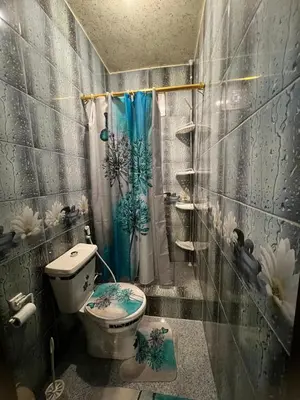 a bathroom with a toilet and a shower at Petra Hospitality in Wadi Musa