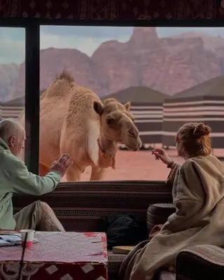 a man and a woman looking at a camel through a window at Camp in the natural reserve & tours in Aqaba