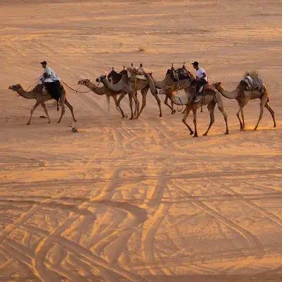 a group of people riding horses in the desert at Moon House & Sunset Tour in El Quweira