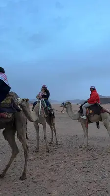 three people riding on the backs of camels in the desert at wadi rum planet camp in Disah
