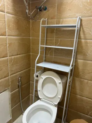 a bathroom with a toilet with two shelves on the wall at One bedroom apartment in the heart of west Amman in Amman