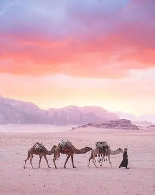 a man walking a group of horses in the desert at Yousef chalet in Amman