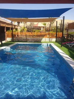 a large swimming pool with a blue umbrella at مزرعه الخال in Al Kafrayn