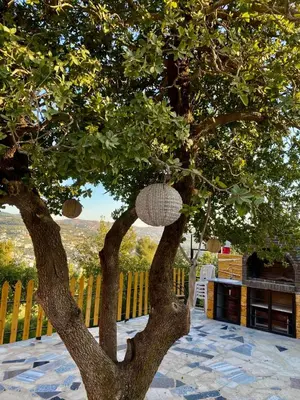 a tree with a white ball hanging from it at أكواخ المها oryx cottage in Ajloun