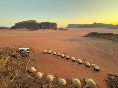 a group of sheep in the desert at وادي رم مخيم in Wadi Rum