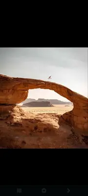 a bird flying over a rock bridge in the desert at Wadi Rum March in Wadi Rum