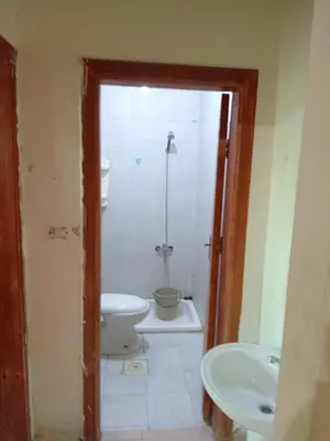 a bathroom with a shower and a toilet and a sink at Al Martini Building Number 11 in Amman