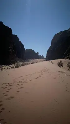 a sandy beach with footprints in the sand at Starlight Camp in Disah