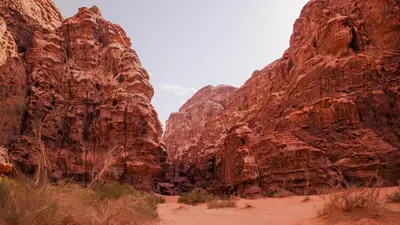 a canyon with tall red rocks in the desert at Wadi Rum Sands Story Camp &Tours in Wadi Rum